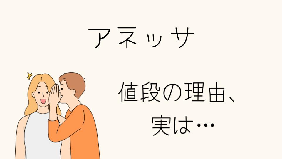 「アネッサ なぜ高い？その理由と特徴とは」