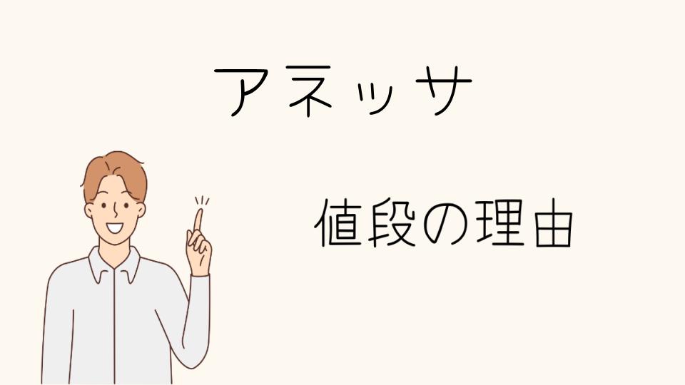 「アネッサ なぜ高い？焼けない理由とその効果」