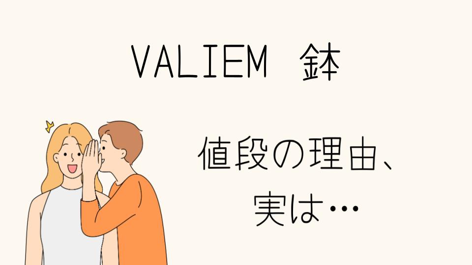 「VALIEMの鉢 なぜ高い？その魅力と価値とは」